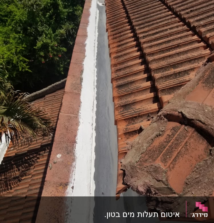 רעפים חומים על גג עם תעלה לבנה